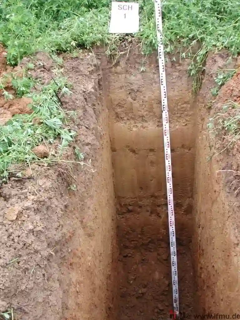 Exploratory Test Pit Services in Tauranga